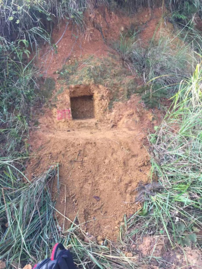 1700188416908123.png image.png