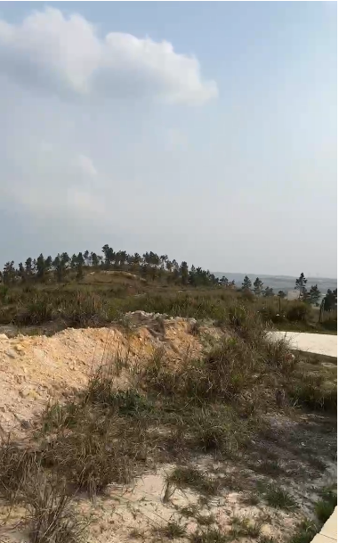 1713839402458898.png 圖片3.png