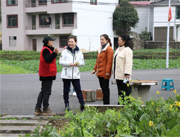 1735527772548433.png 圖片關(guān)鍵詞