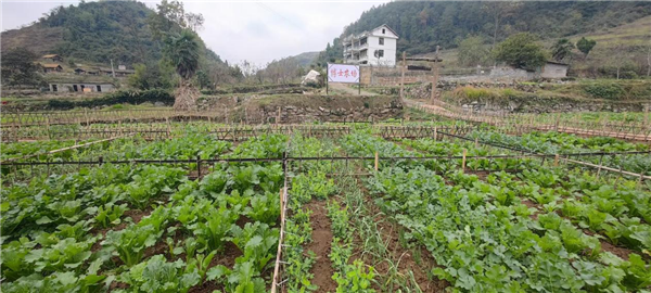 1750124297910644.png 圖片4.png