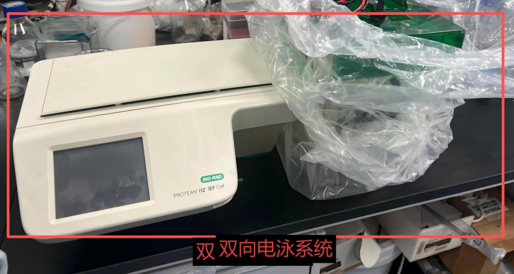 1762756825226927.png image.png