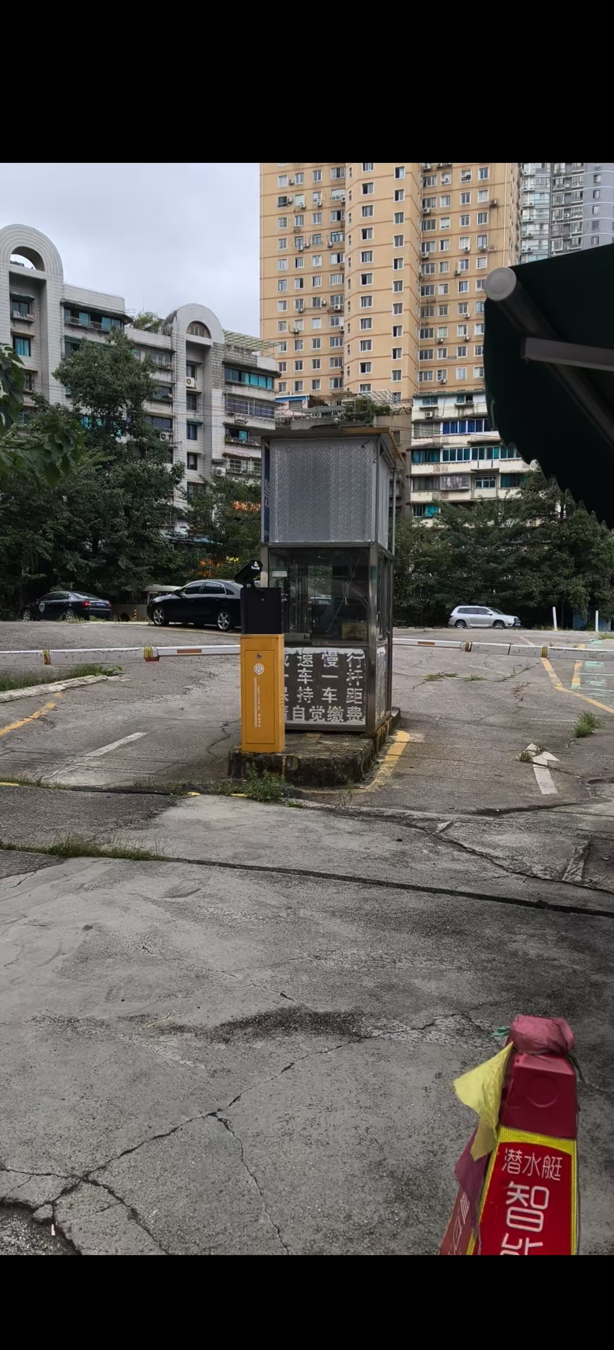 1764295732339331.jpg c869a9d3c09f3810020a8547d172a09d.jpg