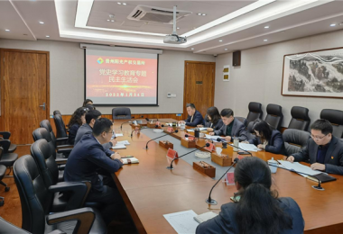 貴州陽光產(chǎn)權(quán)黨委召開黨史學(xué)習(xí)教育專題民主生活會(huì)