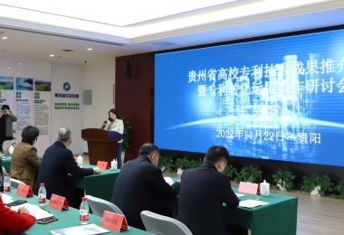 加強(qiáng)知識(shí)產(chǎn)權(quán)運(yùn)營(yíng) 助力實(shí)體經(jīng)濟(jì)發(fā)展——貴州省高校專利技術(shù)成果推介會(huì)暨專利轉(zhuǎn)化運(yùn)用研討會(huì)圓滿召開