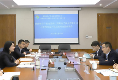 經驗交流  共促發(fā)展——西南聯(lián)合產權交易所、西藏電子商務有限公司 與貴州陽光產權交易所交流座談
