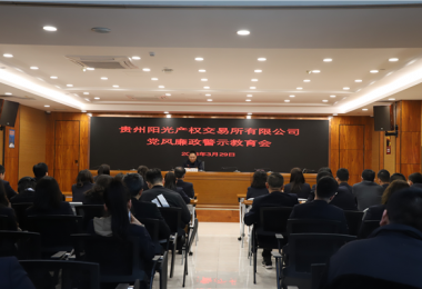 貴州陽光產(chǎn)權(quán)交易所開展黨風(fēng)廉政警示教育大會