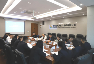 貴州省地方金融監(jiān)管局、貴州證監(jiān)局、貴陽(yáng)市金融辦到貴州陽(yáng)光產(chǎn)權(quán)交易所、貴州環(huán)交所開(kāi)展權(quán)益類交易場(chǎng)所調(diào)研