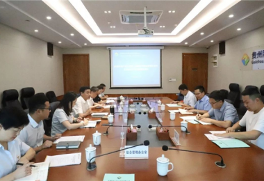 西南聯(lián)合產(chǎn)權(quán)交易所、西藏電子商務有限公司與貴州陽光產(chǎn)權(quán)交易所交流座談會