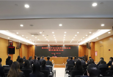 以案為鑒，警醒前行——貴州陽(yáng)光產(chǎn)權(quán)交易所黨委組織召開(kāi)2024年警示教育大會(huì)